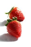 fraise fraise